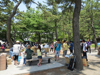 野島公園でのBBQ